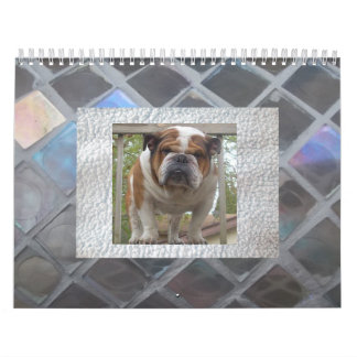 Calendrier anglais de bouledogue