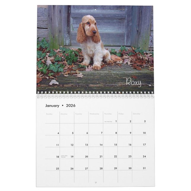 Calendrier anglais de cocker de Y-Noeud (Jan 2026)