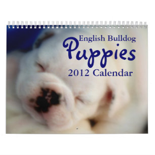 Calendrier anglais des chiots 2012 de bouledogue