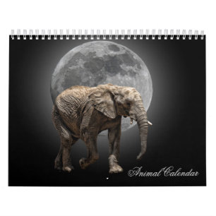 CALENDRIER ANIMAL