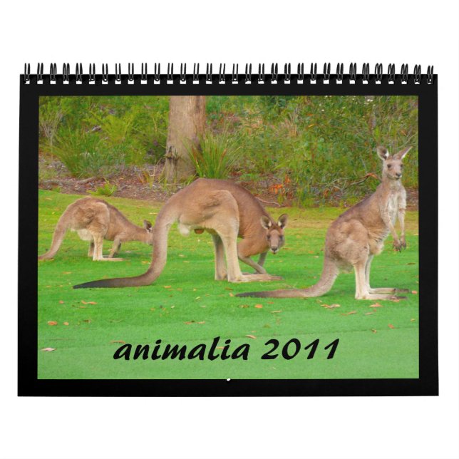 calendrier animal 2011 (Protection)