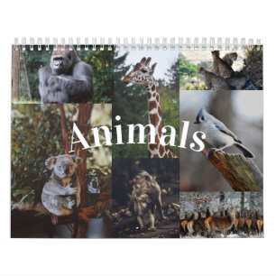 Calendrier animal 2020 Accueil/Bureau Calendrier m
