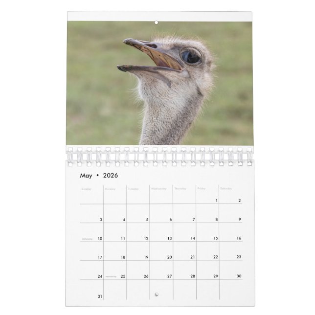 Calendrier animal 2026 (Mai 2026)