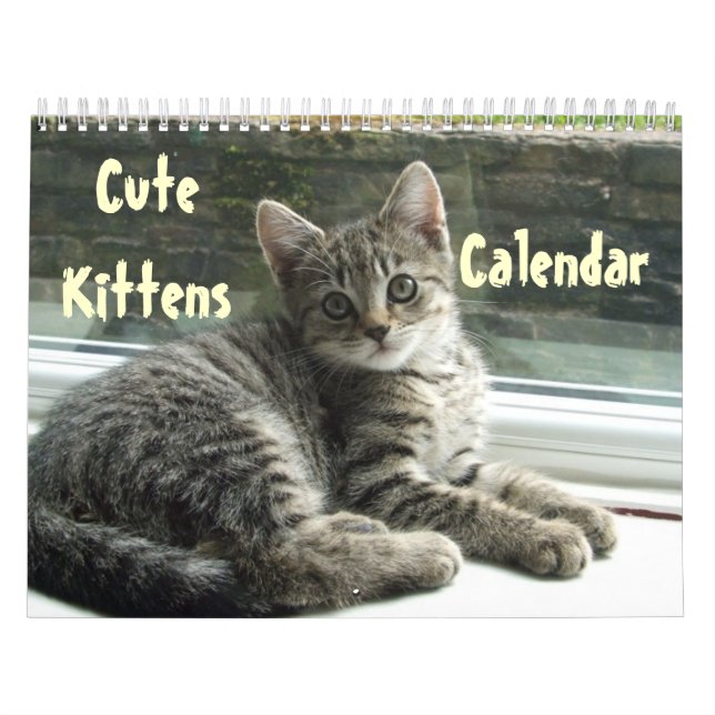 Calendrier Animal Cute Kitten Chat Peace Love Destinée (Protection)