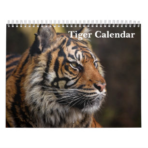 Calendrier Animal sauvage de tigre 2025