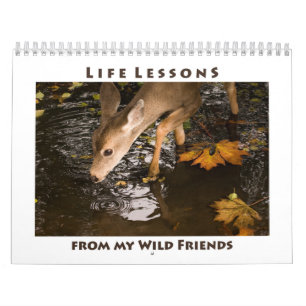 Calendrier animal sauvage inspirant