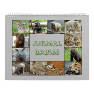 Calendrier AnimalBabies 001