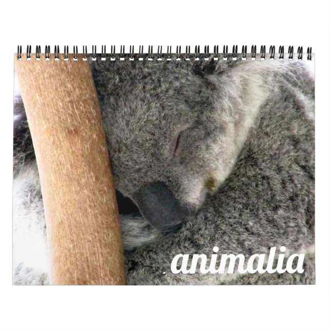 Calendrier animalia 2025 (Protection)