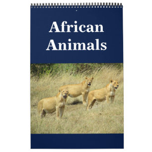 Calendrier animalia africains