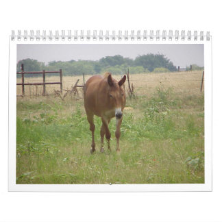 Calendrier Animaux Calander
