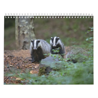 Calendrier Animaux de la forêt