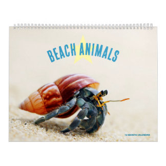 Calendrier Animaux de Plage