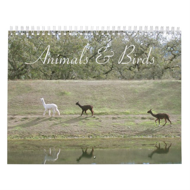 Calendrier - Animaux et oiseaux (Protection)