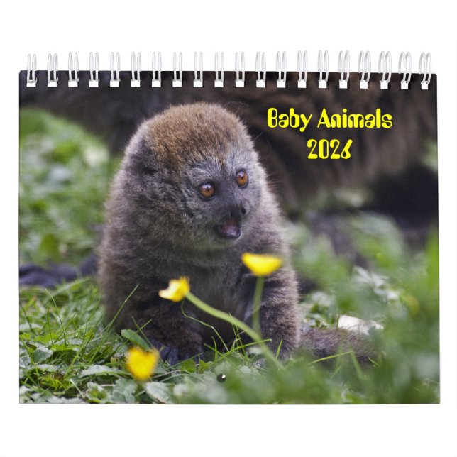 Calendrier Animaux pour bébés (Protection)