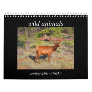 Calendrier animaux sauvages 2027