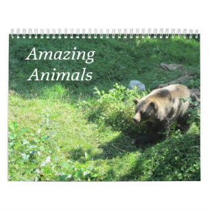 Calendrier Animaux Sauvages Délicieux dans la Nature