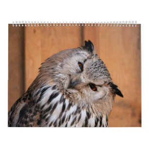 Calendrier Animaux Vous Regardant