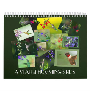 Calendrier Année des colibris