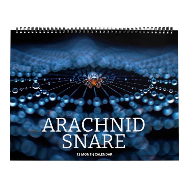 Calendrier Arachnid Snare (Protection)