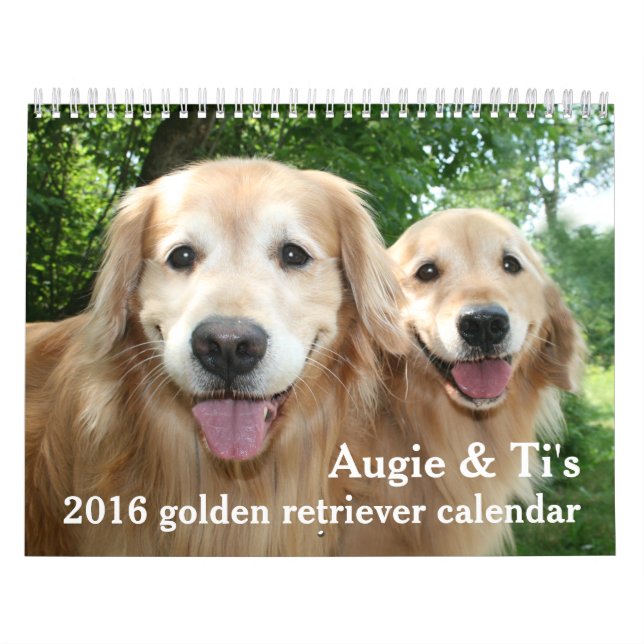 Calendrier Augie et chien 2016 du golden retriever du Ti (Protection)