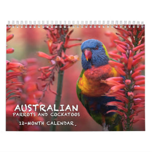 Calendrier australien de perroquets et de cacatoès