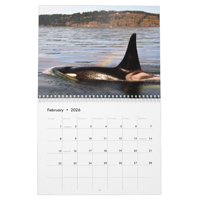 Calendrier AVANT JÉSUS CHRIST baleines (Feb 2026)