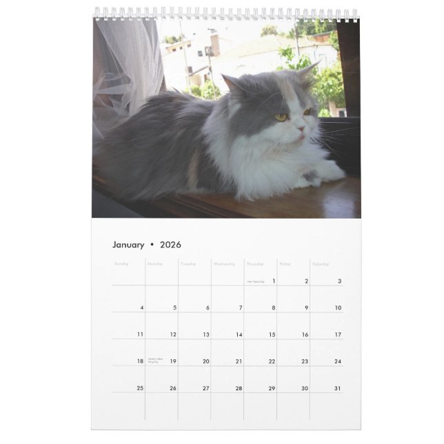 Calendrier avec des chats - customisés (Jan 2026)