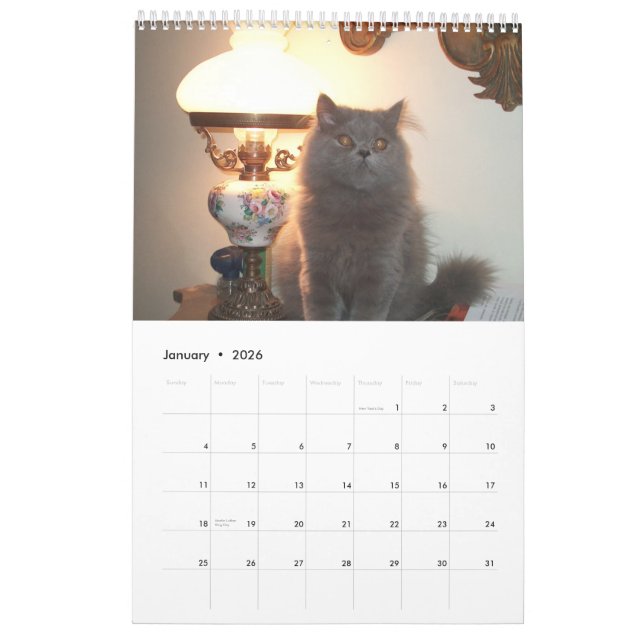 Calendrier avec des chats - customisés (Jan 2026)