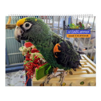 Calendrier Avenue Aviaire 2026 Perroquet