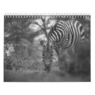 Calendrier B/W animal zèbre