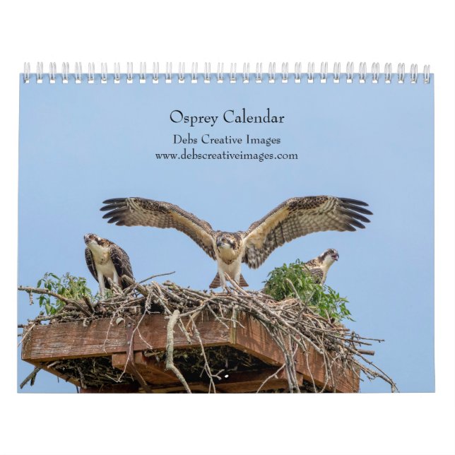 Calendrier Balbuzard pêcheur 2026 (Protection)