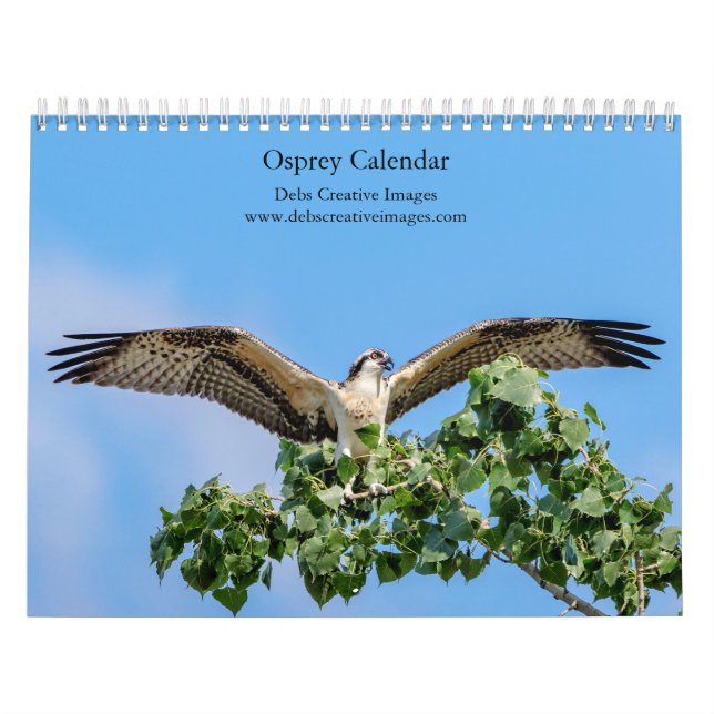 Calendrier Balbuzard pêcheur 2026 (Protection)