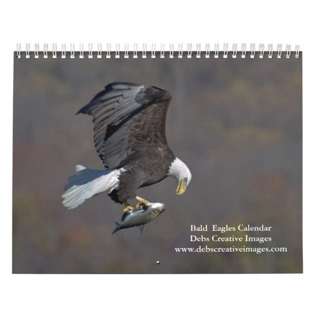 Calendrier Bald Eagles 2026 (Protection)