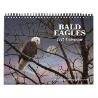Bald Eagles Photographie de la faune
