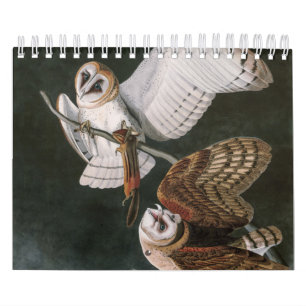 Calendrier Barn Owls, les oiseaux d'Amérique John James Audu