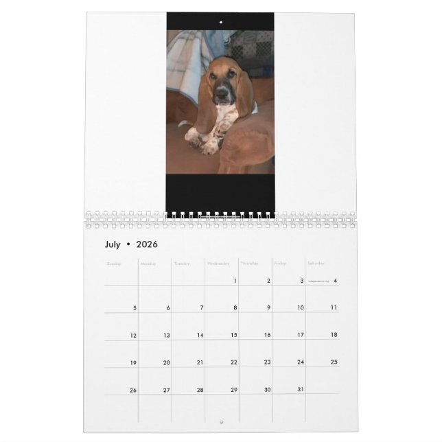 Calendrier Basset Hound (Jul 2026)