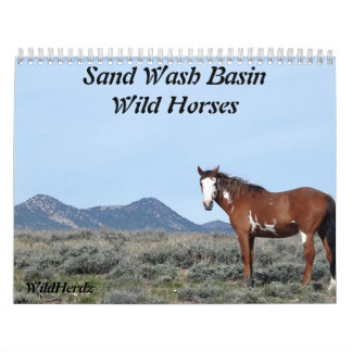 Calendrier Bassin de lavage de sable Chevaux sauvages