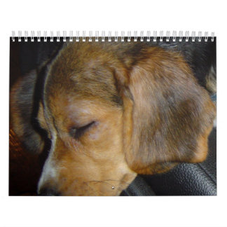 Calendrier Beagle Calander