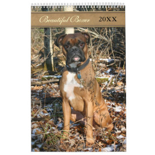 Calendrier Beau chien de boxe 2021