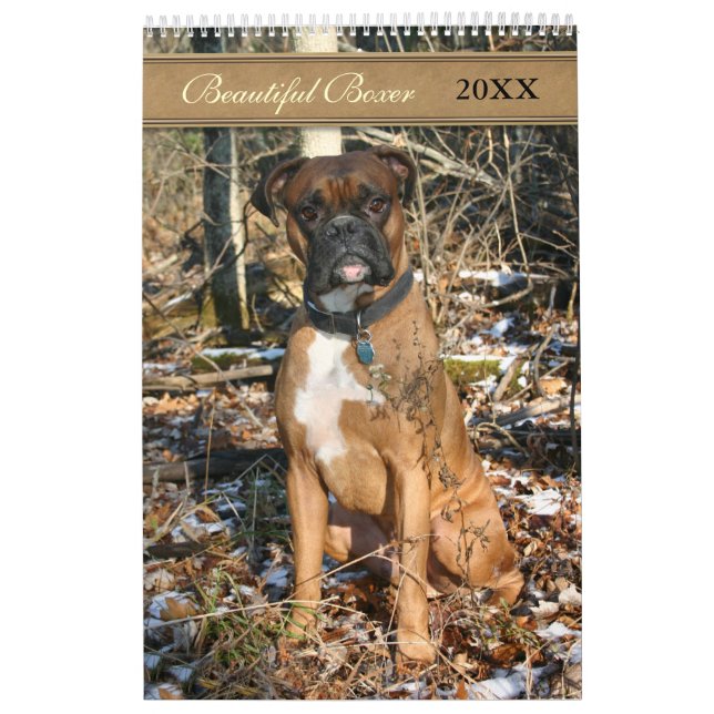 Calendrier Beau chien de boxe 2021 (Protection)