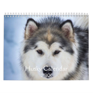 Calendrier Beau Chien Husky