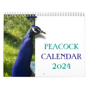 Calendrier Beautiful Peacock 2024