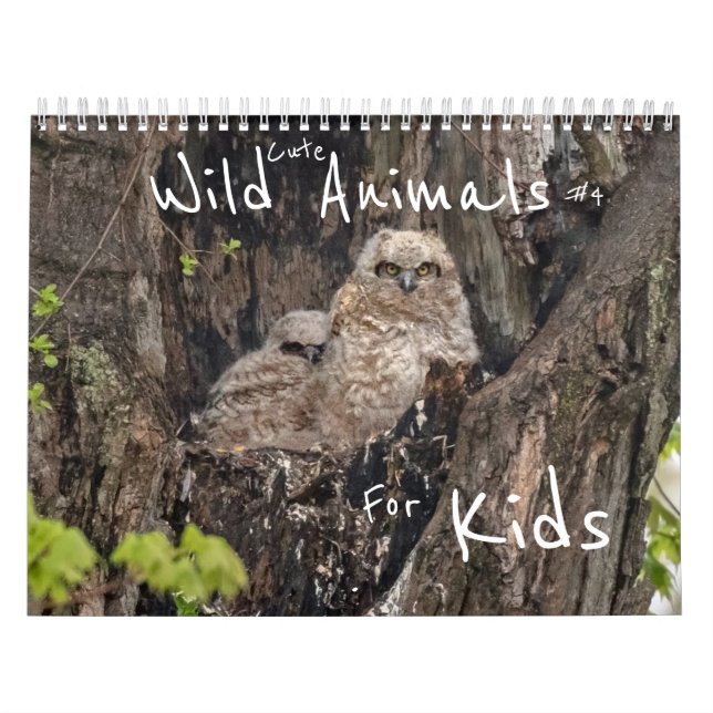 Calendrier Beaux Animaux Sauvages Pour Enfants #4 (Protection)