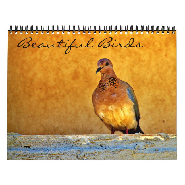 Calendrier Beaux oiseaux (Protection)