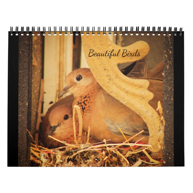 Calendrier Beaux Oiseaux (Protection)