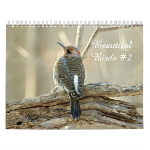Calendrier Beaux oiseaux #2