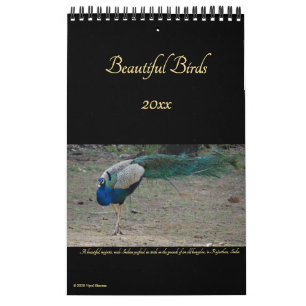 Calendrier Beaux oiseaux Photographie de la nature Oiseaux 20