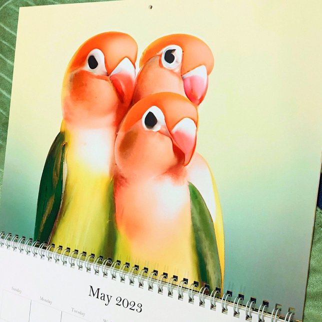Calendrier Belle Aquarelle Lovebird Oiseau mignonne Perroquet (Créateur téléchargé)