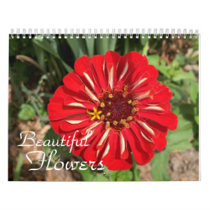 Calendrier Belle Fleurs Photographie