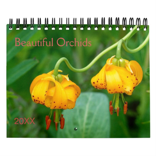 Calendrier Belle Orchidées Nature Photographie (Protection)